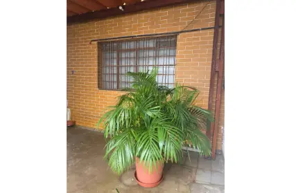 Imagem: Casa Térrea para Venda, Ponte Rasa