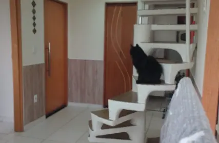 Imagem: Cobertura para Venda, Cidade Líder