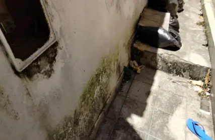 Imagem: Ponto Comercial para Venda, Vila Celeste