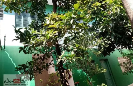 Imagem: Terreno para Venda, Parada XV de Novembro