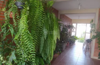 Imagem: Casa Térrea para Venda, Vila Ré