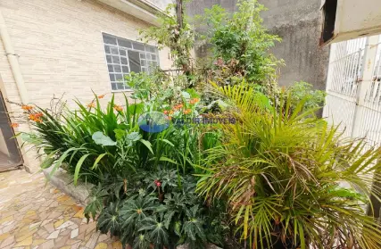 Imagem: Casa Térrea para Venda, Cidade São Mateus