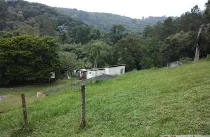 Imagem: Chácara / Sítio para Venda, Jardim Pedra Branca (ZL)
