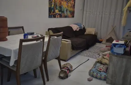 Imagem: Sobrado para Venda, Vila Matilde