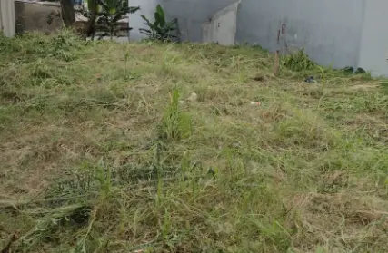 Imagem: Terreno para Venda, Parada XV de Novembro