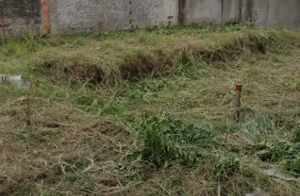 Imagem: Terreno para Venda, Parada XV de Novembro