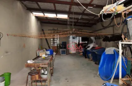 Imagem: Galpão / Salão para Venda, Belenzinho