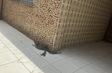 Imagem: Casa Térrea para Venda, Vila Gomes Cardim