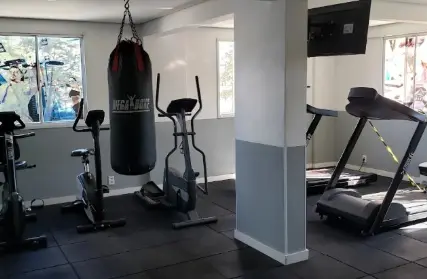 Imagem: Apartamento para Alugar, Jardim Cotinha