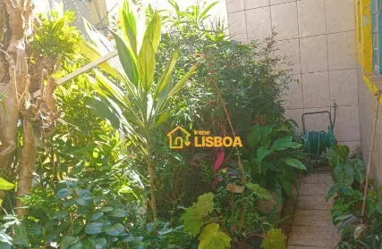 Imagem: Terreno para Venda, Vila Antonieta