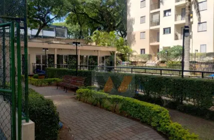 Imagem: Apartamento para Alugar, Jardim Três Marias
