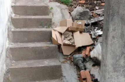 Imagem: Terreno para Venda, Jardim Nossa Senhora do Carmo