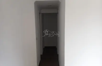 Imagem: Apartamento para Alugar, Jardim Arize