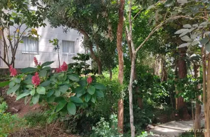 Imagem: Apartamento para Venda, Itaquera