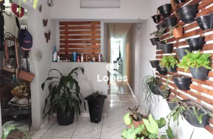 Imagem: Casa Térrea para Venda, Parque São Lucas