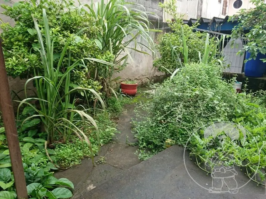 Casa Térrea para Venda ZL Imóvel - Imagem 10