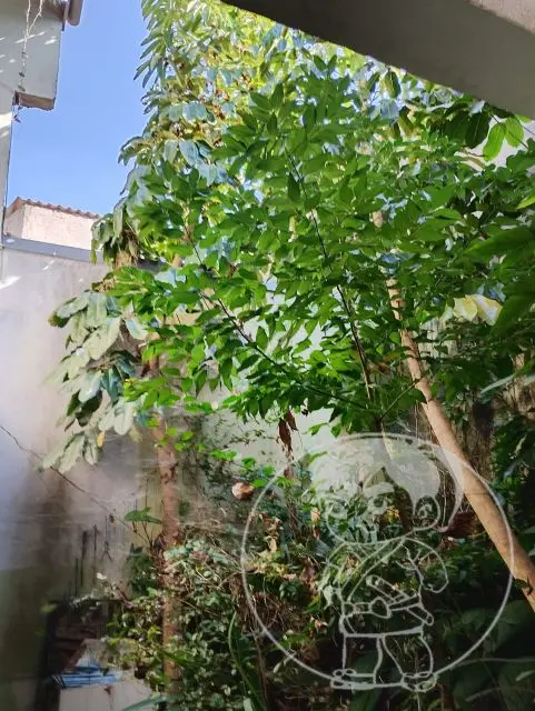 Casa Térrea para Venda ZL Imóvel - Imagem 13
