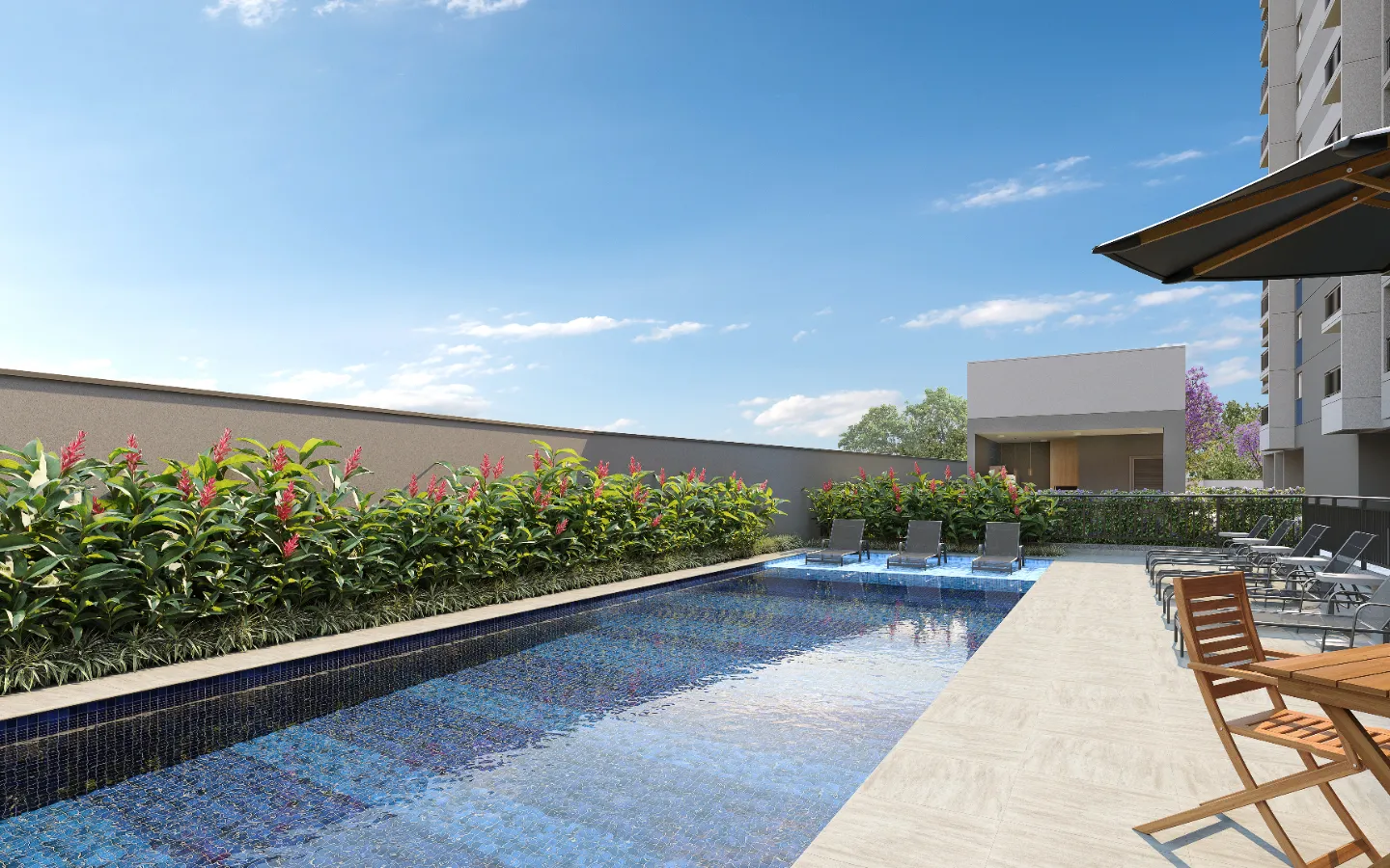 Lançamento Novo Mundo Carrão