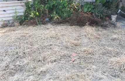 Imagem: Terreno para Venda, Vila Formosa