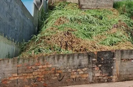 Imagem: Terreno para Venda, Jardim Brasília (ZL)