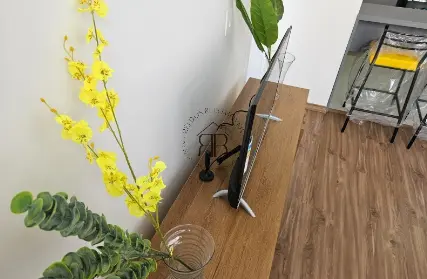 Imagem: Apartamento para Alugar, Mooca