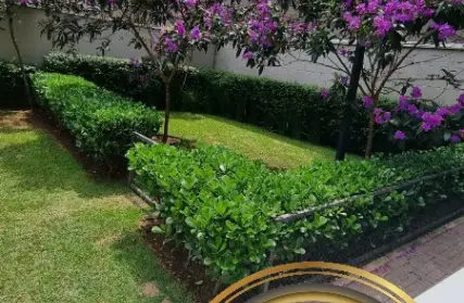 Imagem: Apartamento para Venda, Vila Zilda (Zona Leste)