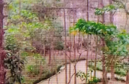 Imagem: Apartamento para Venda, Vila Cunha Bueno