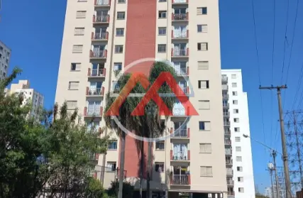 Imagem: Apartamento para Venda, Vila Ivone