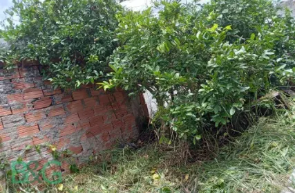 Imagem: Terreno para Venda, Vila Cruzeiro