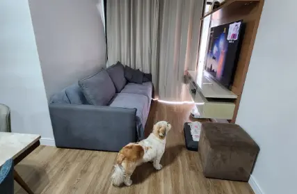 Imagem: Apartamento para Venda, Quinta da Paineira