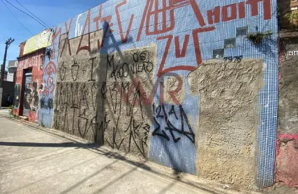 Imagem: Terreno para Venda, Vila Carmosina