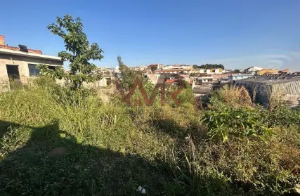 Imagem: Terreno para Venda, Vila Verde