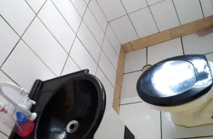 Imagem: Casa Térrea para Alugar, Parque Boturussu