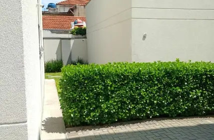 Imagem: Apartamento para Alugar, Vila Gomes Cardim