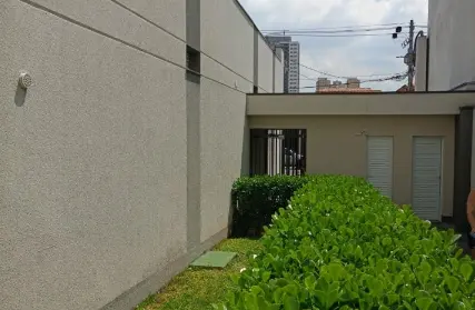 Imagem: Apartamento para Alugar, Vila Gomes Cardim