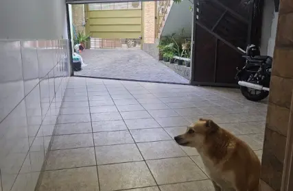 Imagem: Sobrado para Venda, Mooca