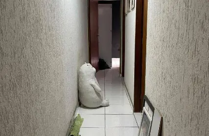 Imagem: Condomínio Fechado para Venda, Jardim São Francisco (ZL)