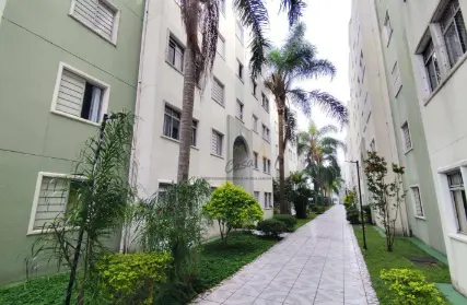 Imagem: Apartamento para Venda, Jardim Casa Pintada