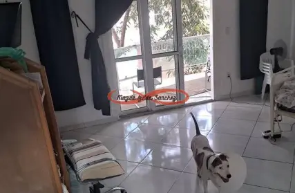 Imagem: Sobrado para Alugar, Parque Savoy City