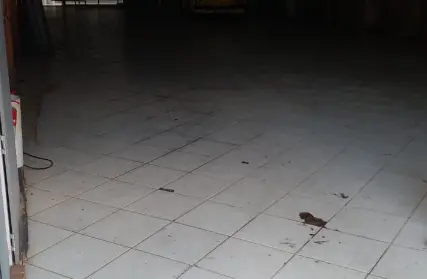 Imagem: Galpão / Salão para Alugar, Vila Nhocune