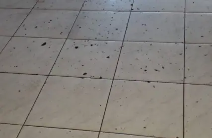 Imagem: Galpão / Salão para Venda, Parque Maria Luiza