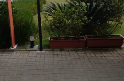 Imagem: Apartamento para Alugar, Cidade Patriarca