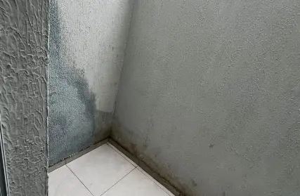 Imagem: Apartamento para Venda, Jardim Anália Franco