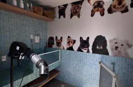 Imagem: Apartamento para Venda, Vila Matilde