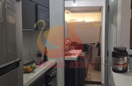 Imagem: Apartamento para Alugar, Jardim Colonial