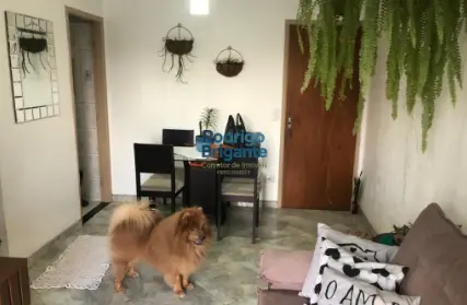 Imagem: Apartamento para Venda, Vila Carmosina