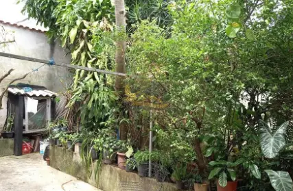 Imagem: Casa Térrea para Venda, Vila São Nicolau