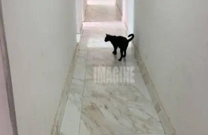 Imagem: Casa Térrea para Venda, Penha
