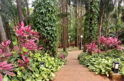 Imagem: Apartamento para Venda, Vila Curuçá