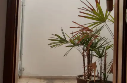 Imagem: Casa Térrea para Venda, Vila Formosa